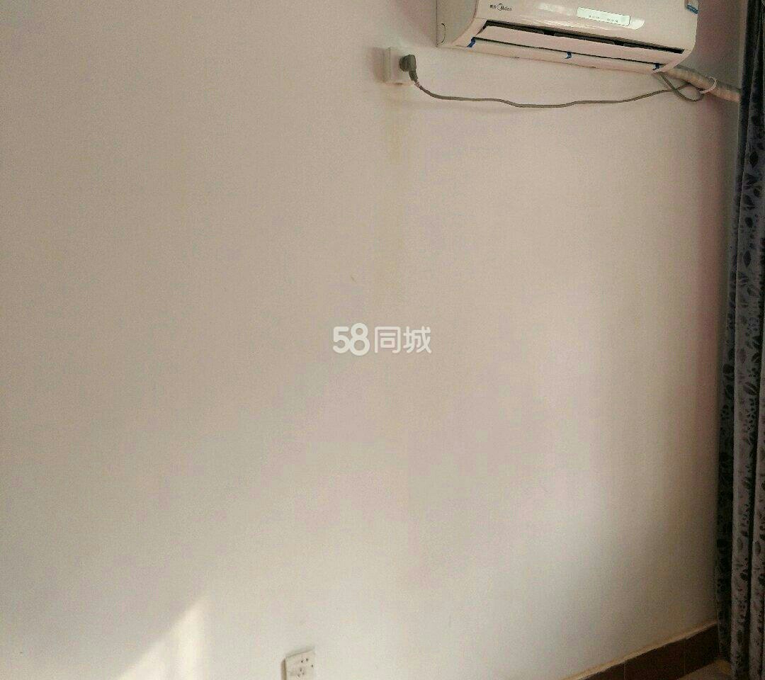 低价急租！日月花园电梯房单身公寓只要1150一品苑蓝天华侨城