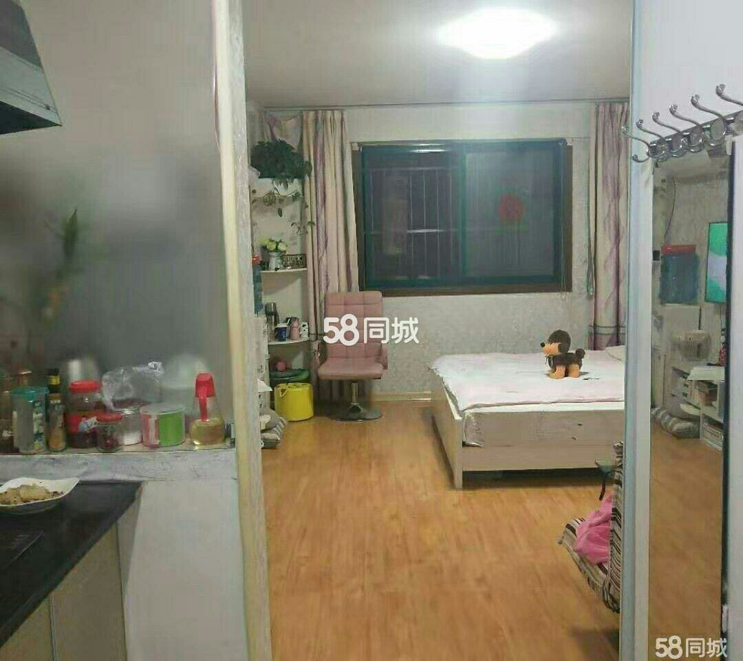 稀有精装修  东新绿苑1室1厅1卫紧邻一院步行街随时看房