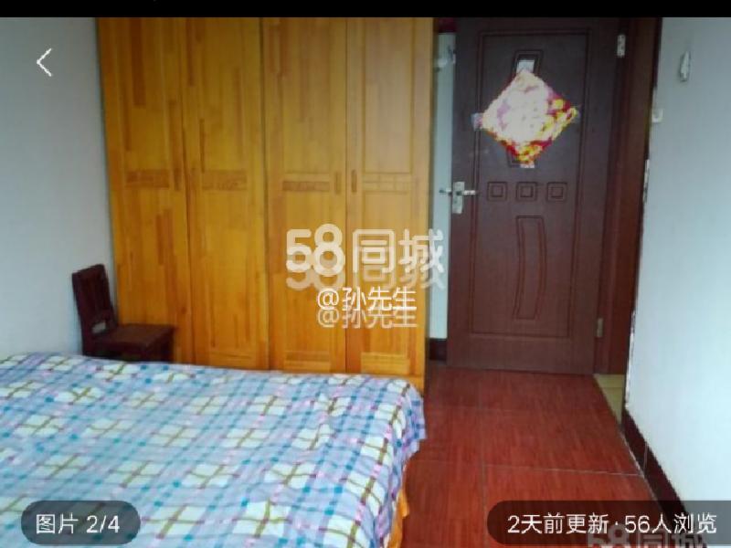 新浦简装修3室南好格局便宜急租