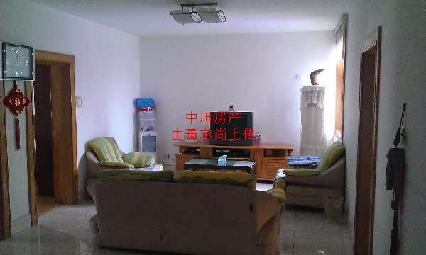 陇海东路32号