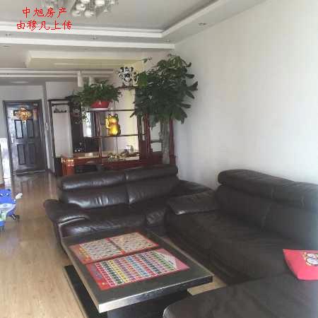 海连中路盐河桥东