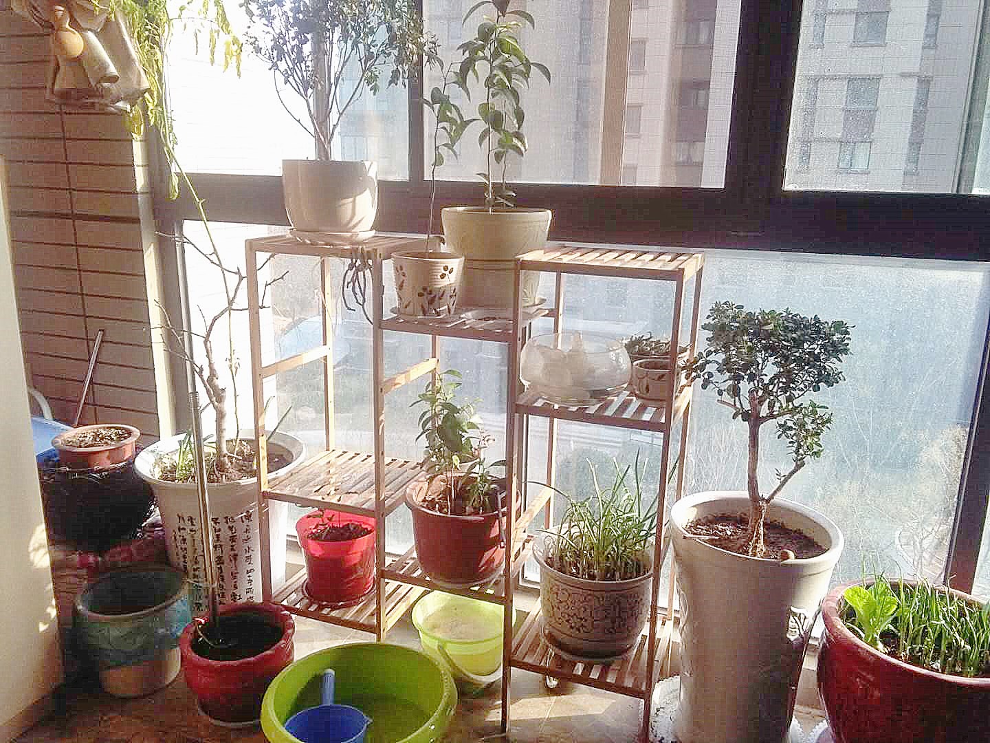 金鹰国际城精装阔绰三居价格漂亮格局方正采光采景俱佳