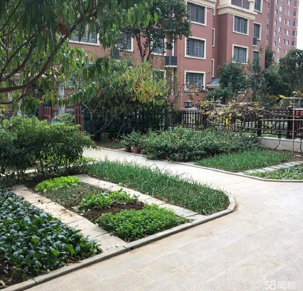 苍梧小学中学双学区（明珠皇冠花园），适合陪读或老人居住